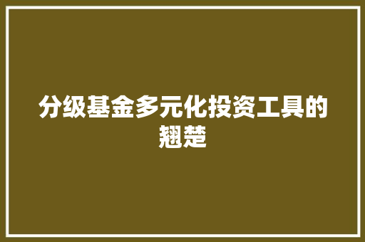 分级基金多元化投资工具的翘楚
