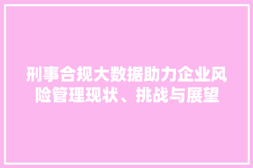 刑事合规大数据助力企业风险管理现状、挑战与展望