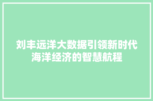 刘丰远洋大数据引领新时代海洋经济的智慧航程 Web前端