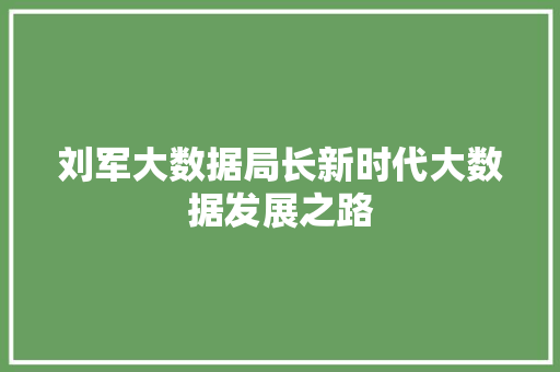 刘军大数据局长新时代大数据发展之路