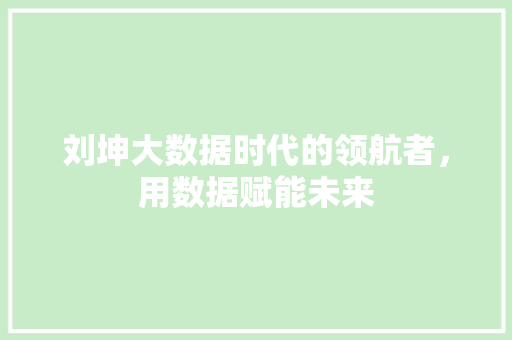 刘坤大数据时代的领航者，用数据赋能未来
