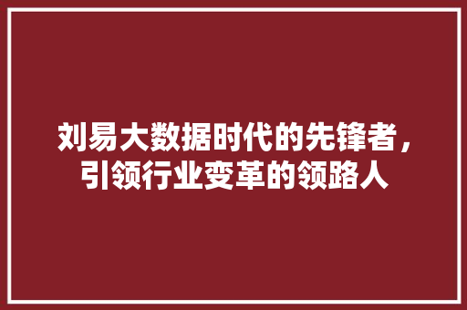 刘易大数据时代的先锋者，引领行业变革的领路人