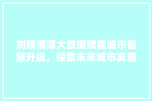 刘晴湘潭大数据赋能城市智慧升级，探索未来城市发展新路径 Web前端