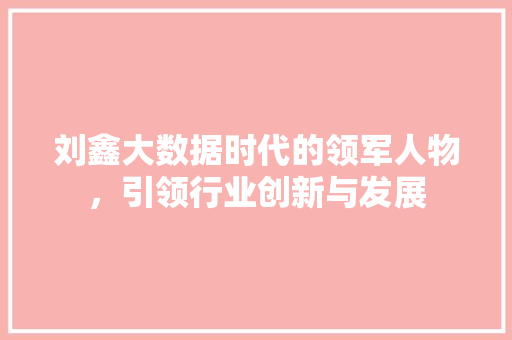 刘鑫大数据时代的领军人物，引领行业创新与发展