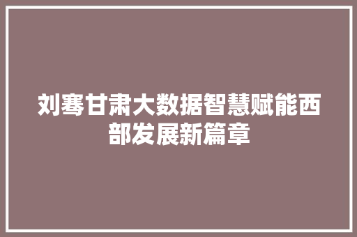 刘骞甘肃大数据智慧赋能西部发展新篇章