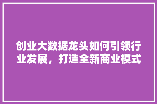 创业大数据龙头如何引领行业发展，打造全新商业模式
