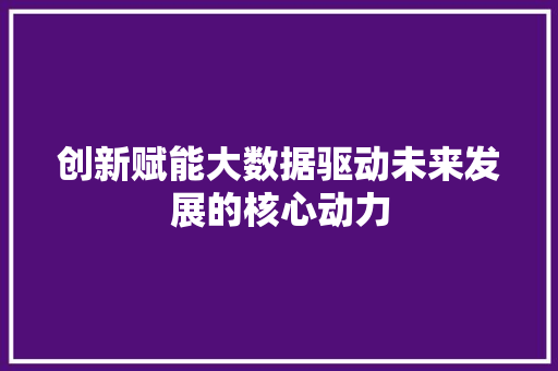 创新赋能大数据驱动未来发展的核心动力