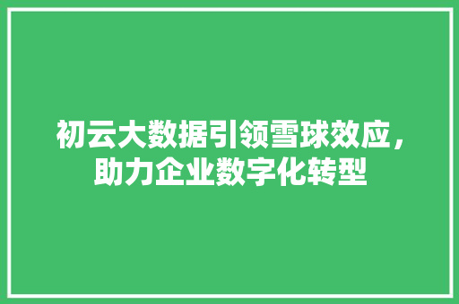 初云大数据引领雪球效应，助力企业数字化转型 建站教程