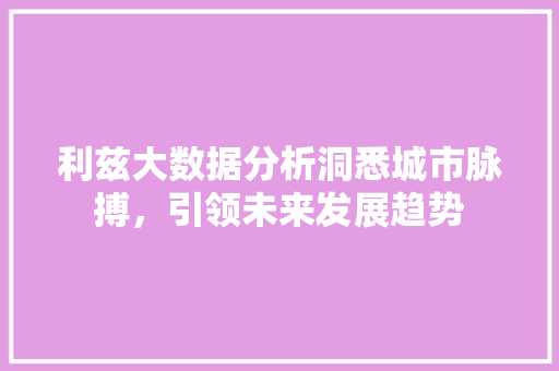 利兹大数据分析洞悉城市脉搏，引领未来发展趋势 服务器/数据库