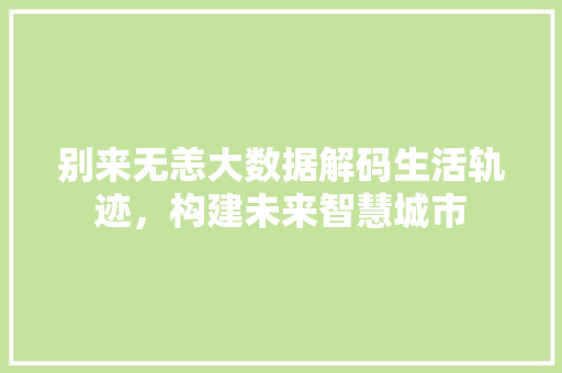 别来无恙大数据解码生活轨迹，构建未来智慧城市 建站教程