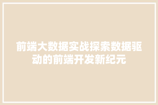 前端大数据实战探索数据驱动的前端开发新纪元