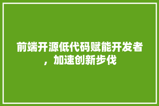 前端开源低代码赋能开发者，加速创新步伐