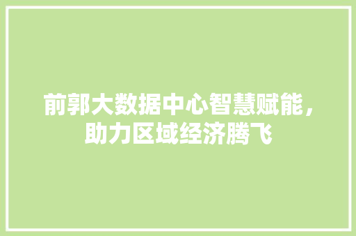 前郭大数据中心智慧赋能，助力区域经济腾飞 WordPress教程