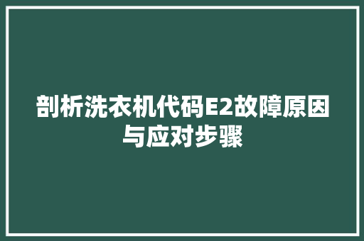 剖析洗衣机代码E2故障原因与应对步骤