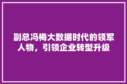 副总冯梅大数据时代的领军人物，引领企业转型升级