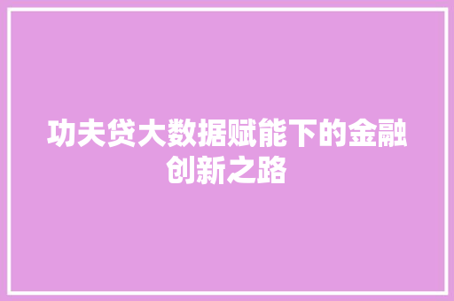 功夫贷大数据赋能下的金融创新之路 WordPress教程