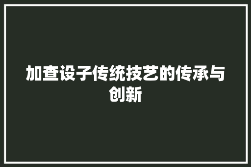 加查设子传统技艺的传承与创新