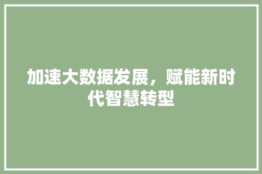 加速大数据发展，赋能新时代智慧转型 Web前端