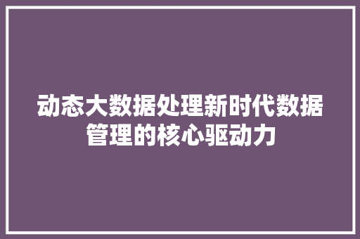 动态大数据处理新时代数据管理的核心驱动力