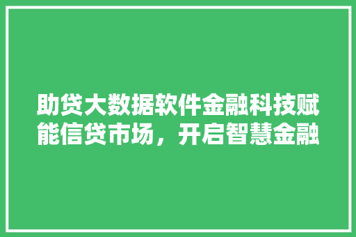 助贷大数据软件金融科技赋能信贷市场，开启智慧金融新纪元 SEO教程