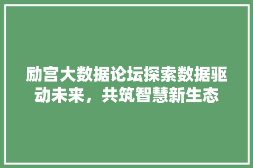 励宫大数据论坛探索数据驱动未来，共筑智慧新生态 服务器/数据库