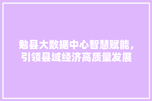 勉县大数据中心智慧赋能，引领县域经济高质量发展