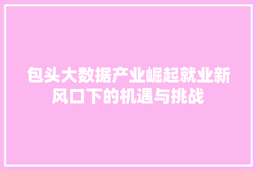 包头大数据产业崛起就业新风口下的机遇与挑战