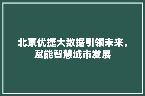 北京优捷大数据引领未来，赋能智慧城市发展