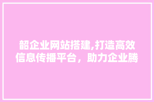 韶企业网站搭建,打造高效信息传播平台，助力企业腾飞