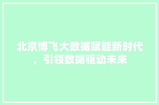北京博飞大数据赋能新时代，引领数据驱动未来