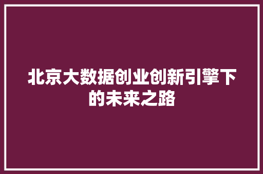 北京大数据创业创新引擎下的未来之路