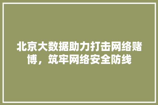 北京大数据助力打击网络赌博，筑牢网络安全防线