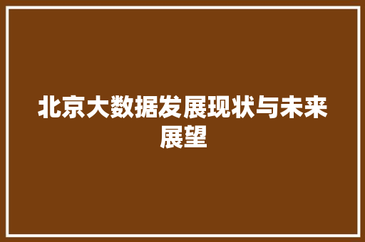 北京大数据发展现状与未来展望