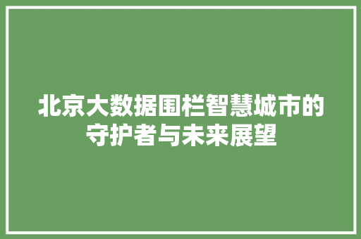 北京大数据围栏智慧城市的守护者与未来展望