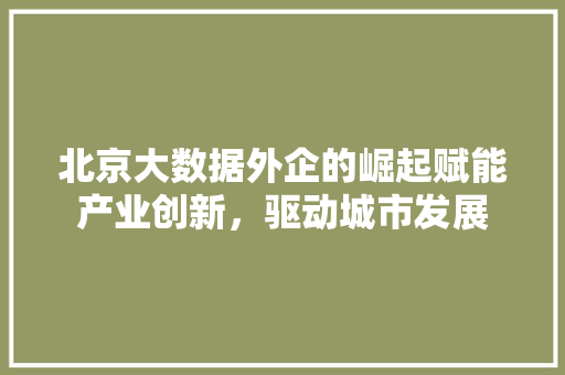 北京大数据外企的崛起赋能产业创新，驱动城市发展