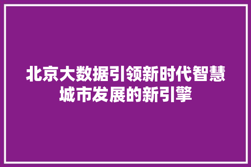 北京大数据引领新时代智慧城市发展的新引擎
