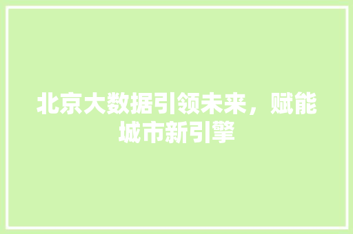 北京大数据引领未来，赋能城市新引擎