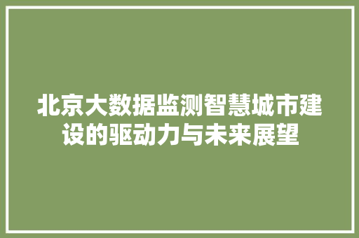 北京大数据监测智慧城市建设的驱动力与未来展望 SEO教程