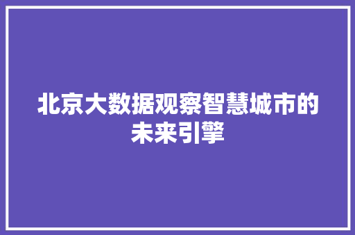 北京大数据观察智慧城市的未来引擎