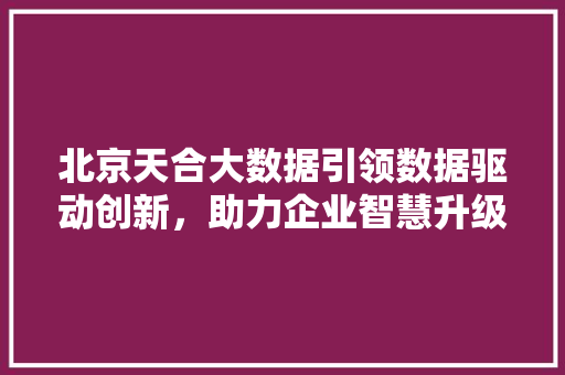北京天合大数据引领数据驱动创新，助力企业智慧升级