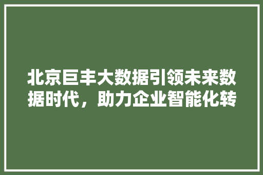 北京巨丰大数据引领未来数据时代，助力企业智能化转型