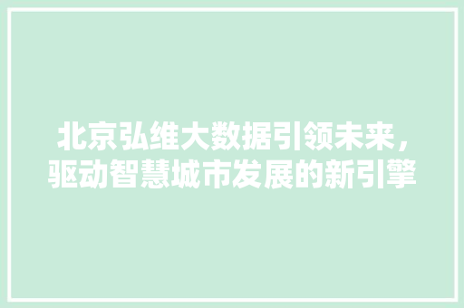 北京弘维大数据引领未来，驱动智慧城市发展的新引擎
