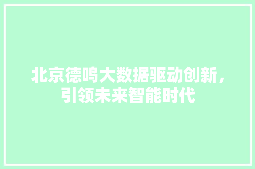 北京德鸣大数据驱动创新，引领未来智能时代