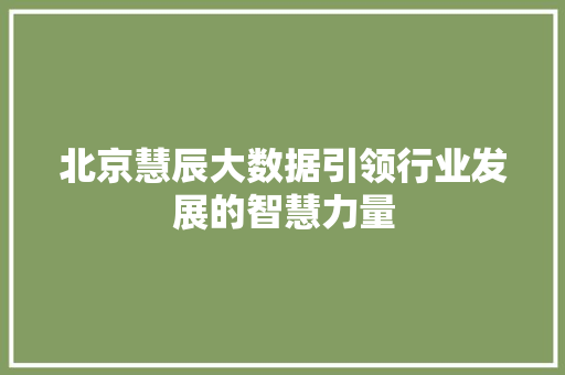 北京慧辰大数据引领行业发展的智慧力量