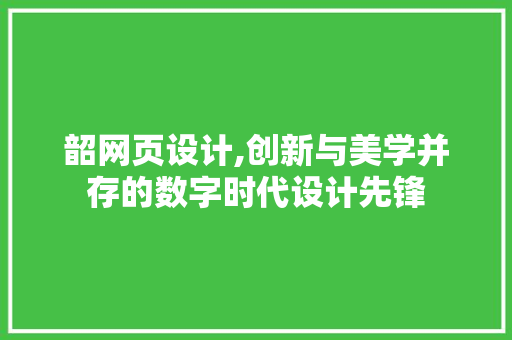 韶网页设计,创新与美学并存的数字时代设计先锋