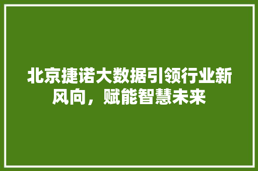 北京捷诺大数据引领行业新风向，赋能智慧未来