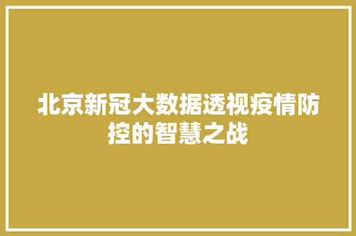 北京新冠大数据透视疫情防控的智慧之战 Web前端