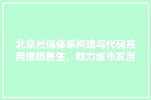 北京社保体系构建与代码应用保障民生，助力城市发展 建站教程