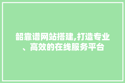 韶靠谱网站搭建,打造专业、高效的在线服务平台