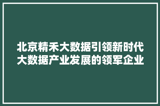 北京精禾大数据引领新时代大数据产业发展的领军企业